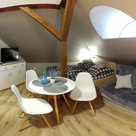 Rum i privatbostad Czarna Owca- Goscinne