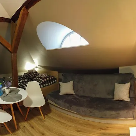 Rum i privatbostad Czarna Owca- Goscinne *