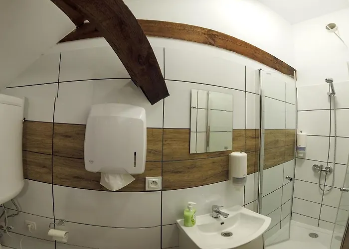 בית אירוח Czarna Owca- Goscinne גניזנו