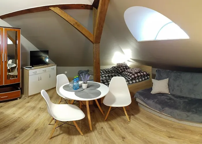 בית אירוח Czarna Owca- Goscinne