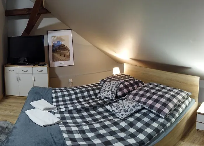 בית אירוח Czarna Owca- Goscinne *