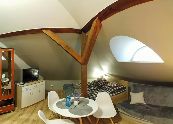 בית אירוח Czarna Owca- Goscinne *