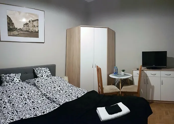 בית אירוח Czarna Owca- Goscinne גניזנו